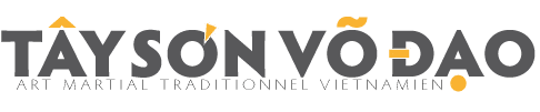 Logo Tay Son Vo Dao