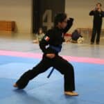 2025 Defi Tay Son Vo Dao Cergy 133