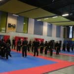 2025 Defi Tay Son Vo Dao Cergy 14